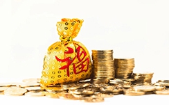 中金印度消费REIT：邱延冰，基金管理公司副总经理